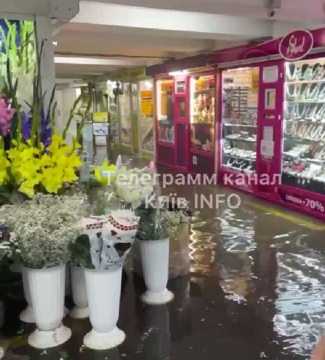 Гроза в Киеве затопила переходы: "без резиновых сапог" далеко не уйдешь (фото)